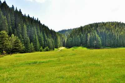 Kocayayla Kamp ve Karavan